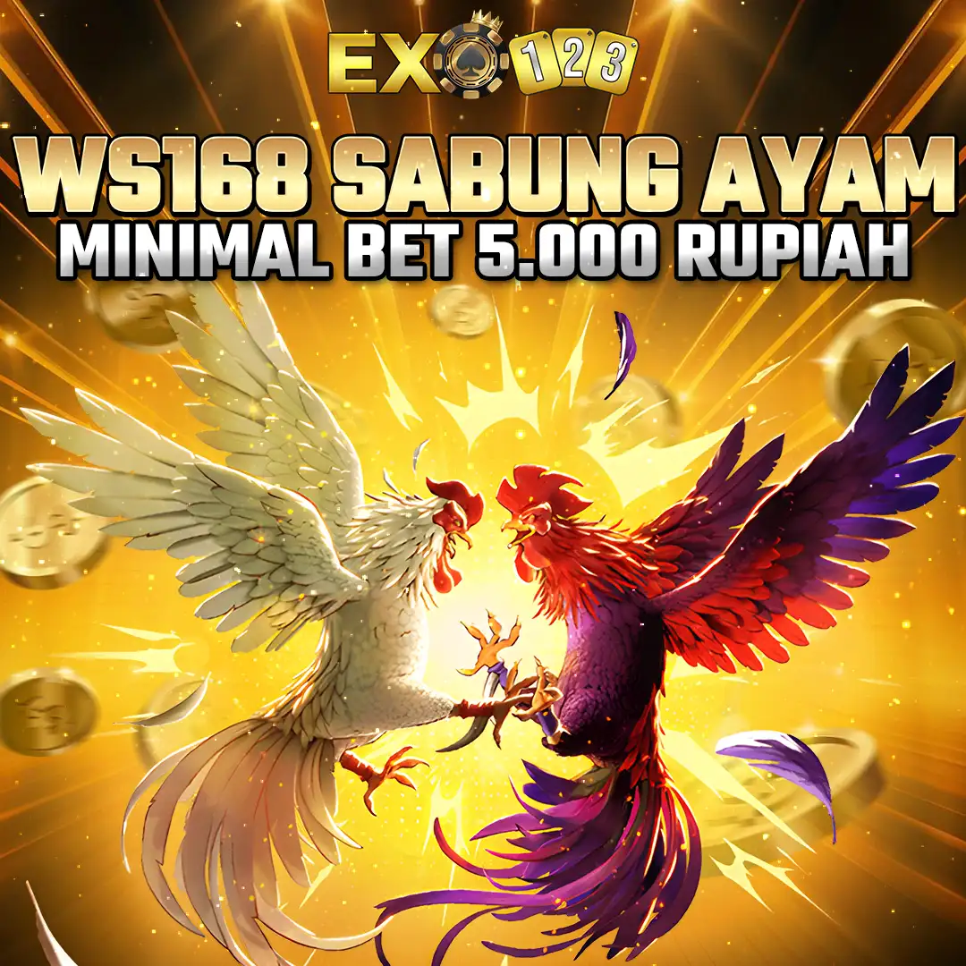 EXO123 Sabung Ayam